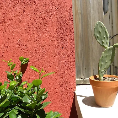 La Terrasse Du Marche Aux Fleurs Apartment Montpellier Room photo