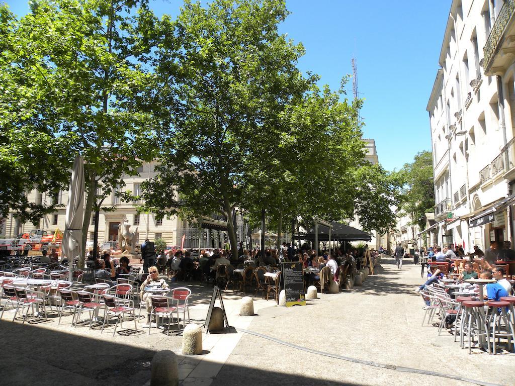 La Terrasse Du Marche Aux Fleurs Apartment