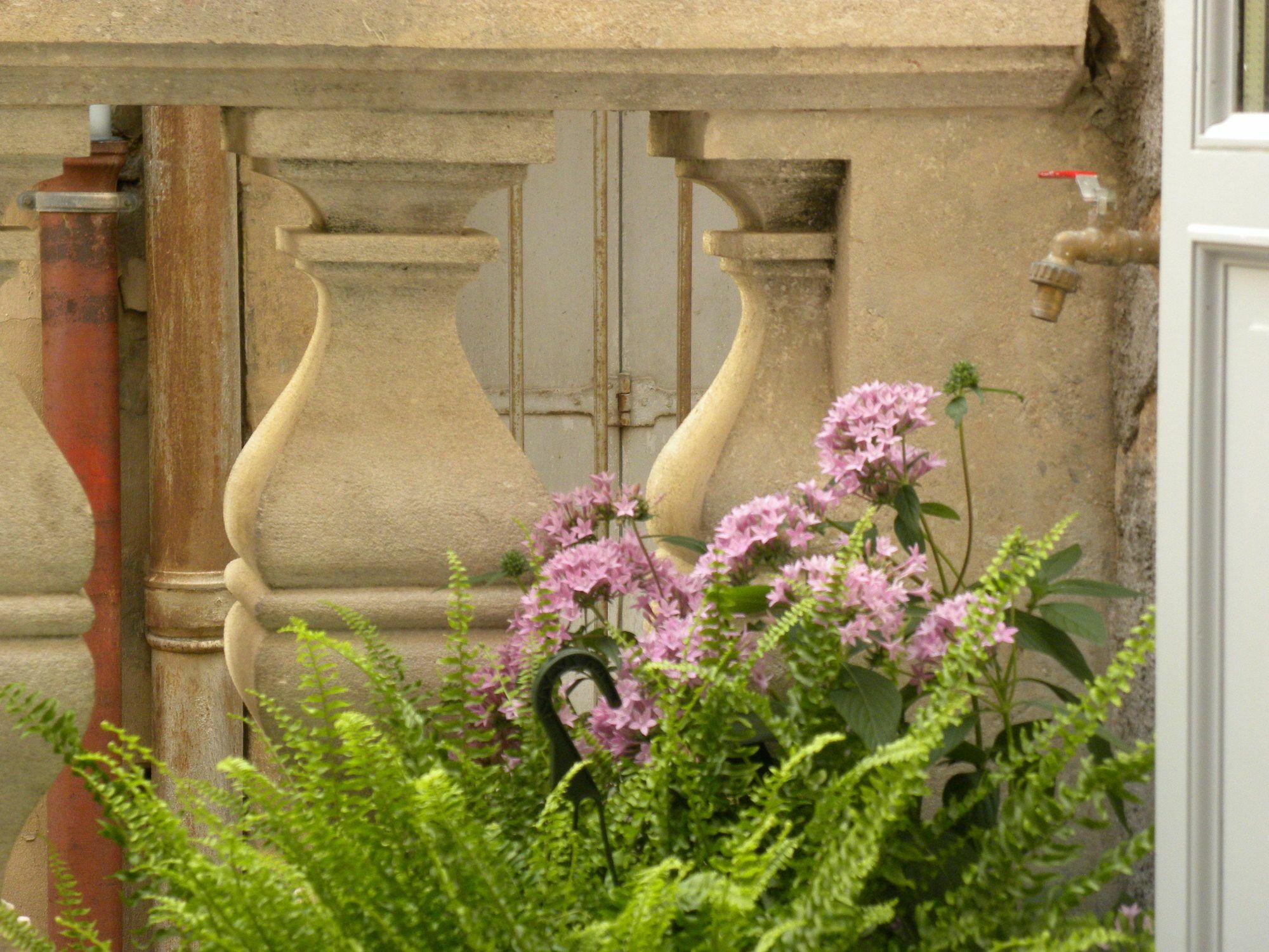 La Terrasse Du Marche Aux Fleurs